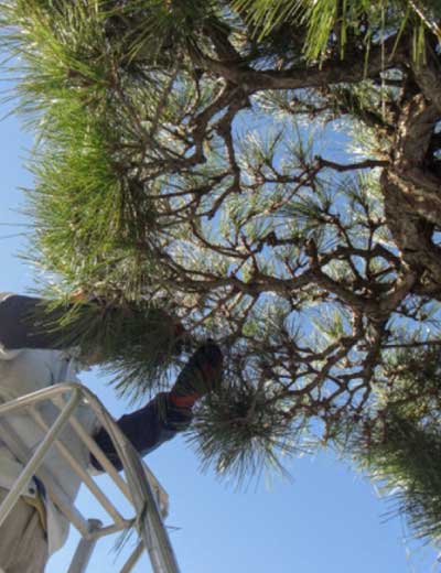 定期的なメンテナンス