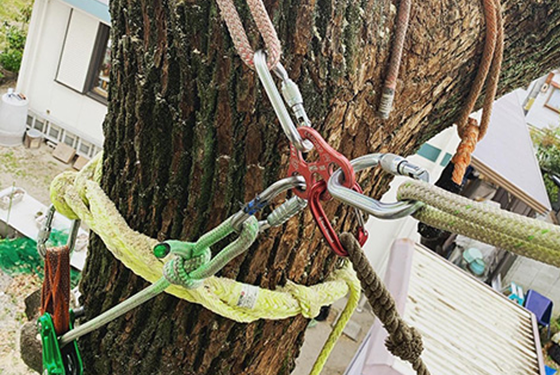 木村グリーンメンテナンス：困難な樹上伐採も可能です