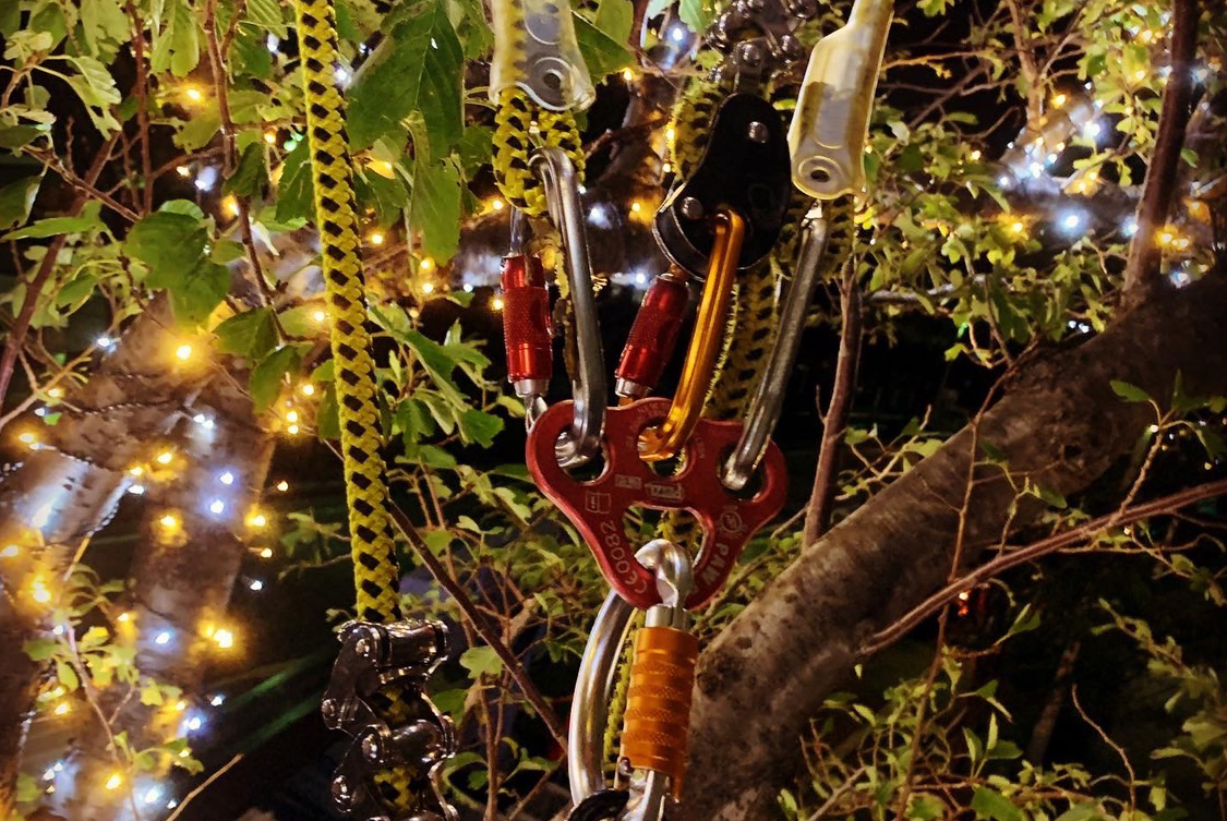 木村グリーンメンテナンス：樹木伐採から庭木剪定まで