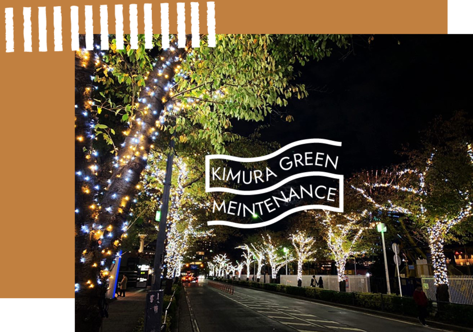 名古屋でイルミネーションの取付作業のご相談なら木村グリーンメンテナンスへ