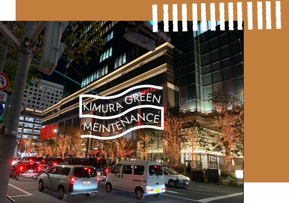 名古屋でイルミネーションの取付作業のご相談なら木村グリーンメンテナンスへ