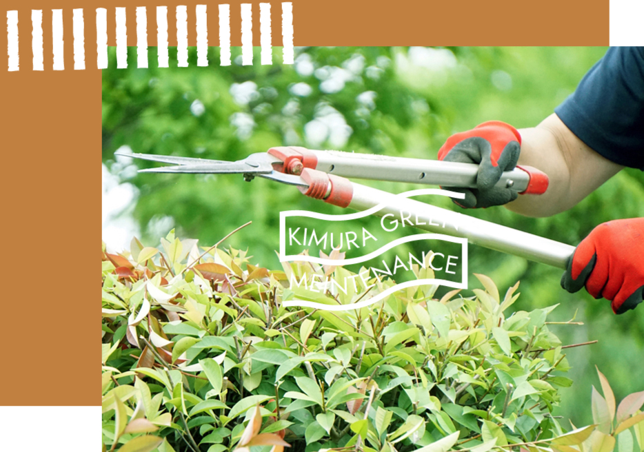名古屋で庭木の剪定のご相談なら木村グリーンメンテナンスへ