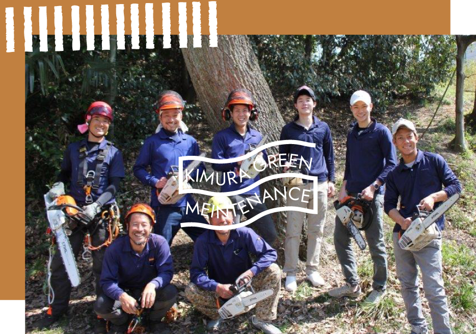 名古屋で特殊伐採のご相談なら木村グリーンメンテナンスへ