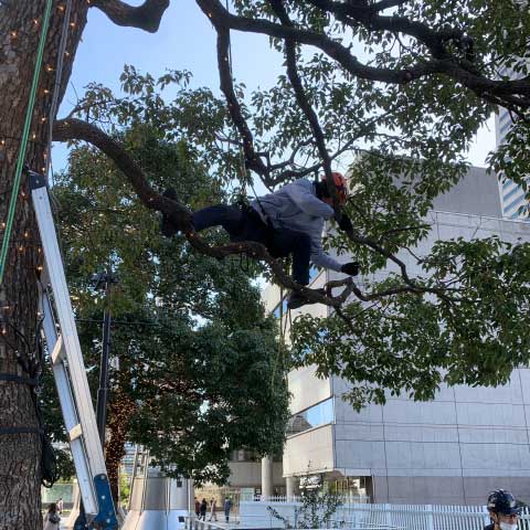 イルミネーションの取り付け