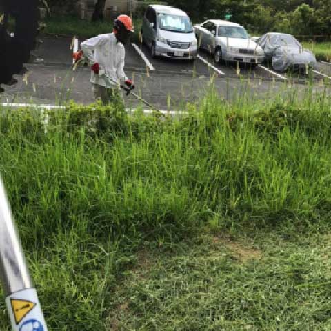 お庭の剪定・草刈り