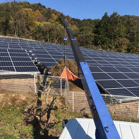 お庭の剪定・草刈り
