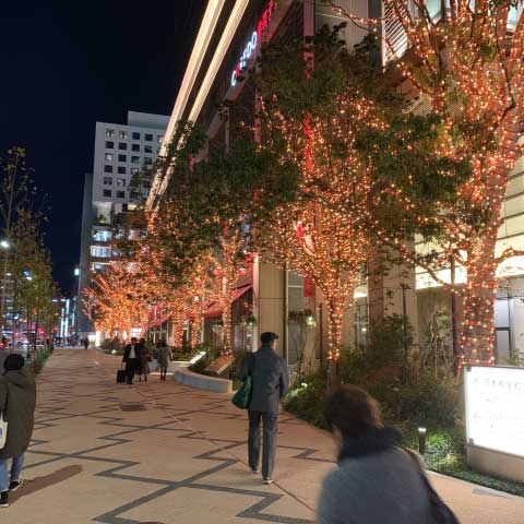 イルミネーションの取り付け